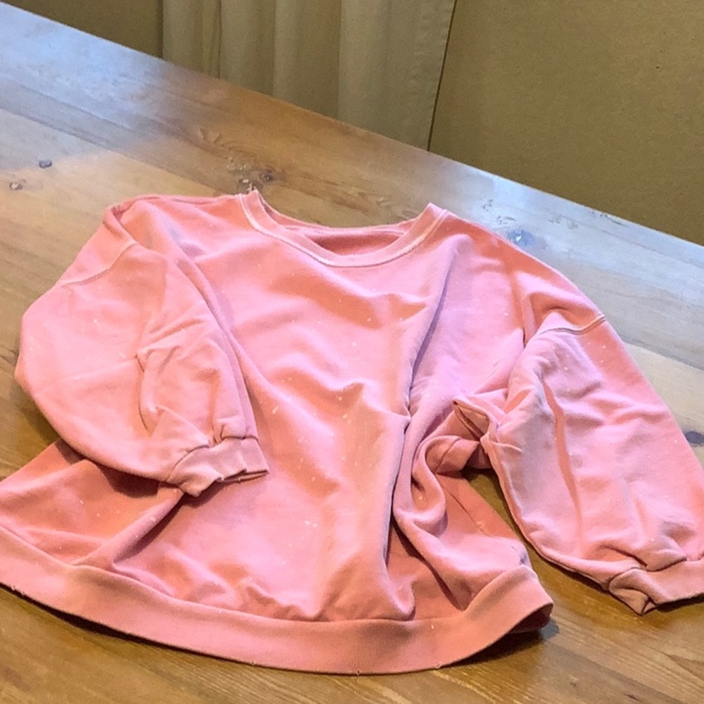 All Saints Distressed Pink Storn Sweatshirt